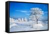 Winter Landscape-Yanika-Framed Stretched Canvas