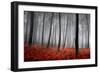 Winter Landscape-jpcasais-Framed Photographic Print