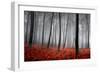 Winter Landscape-jpcasais-Framed Photographic Print