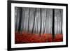 Winter Landscape-jpcasais-Framed Photographic Print