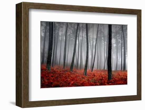 Winter Landscape-jpcasais-Framed Photographic Print