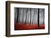 Winter Landscape-jpcasais-Framed Photographic Print