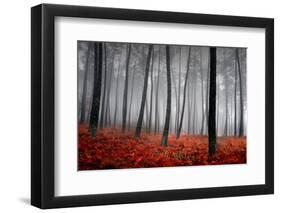 Winter Landscape-jpcasais-Framed Photographic Print