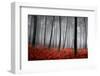 Winter Landscape-jpcasais-Framed Photographic Print