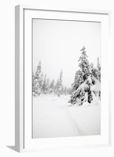 Winter Landscape-leaf-Framed Photographic Print