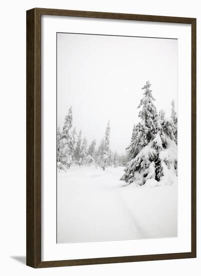 Winter Landscape-leaf-Framed Photographic Print