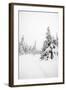 Winter Landscape-leaf-Framed Photographic Print