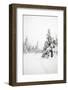 Winter Landscape-leaf-Framed Photographic Print