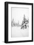 Winter Landscape-leaf-Framed Photographic Print