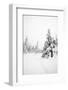 Winter Landscape-leaf-Framed Photographic Print