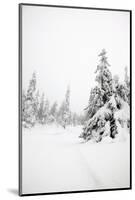 Winter Landscape-leaf-Mounted Photographic Print