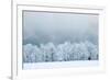 Winter Landscape-silver-john-Framed Photographic Print