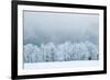 Winter Landscape-silver-john-Framed Photographic Print