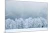 Winter Landscape-silver-john-Mounted Photographic Print