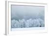 Winter Landscape-silver-john-Framed Photographic Print