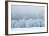 Winter Landscape-silver-john-Framed Photographic Print