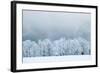 Winter Landscape-silver-john-Framed Photographic Print