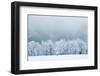 Winter Landscape-silver-john-Framed Photographic Print