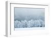 Winter Landscape-silver-john-Framed Photographic Print