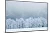 Winter Landscape-silver-john-Mounted Photographic Print