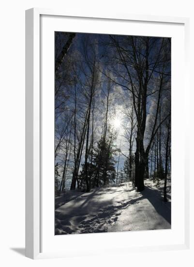Winter Landscape-kovalvs-Framed Photographic Print
