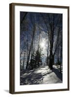 Winter Landscape-kovalvs-Framed Photographic Print