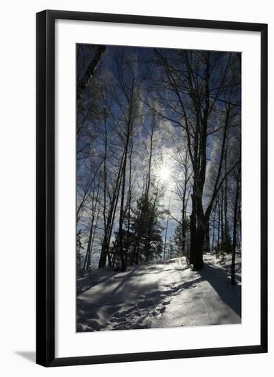 Winter Landscape-kovalvs-Framed Photographic Print