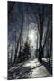 Winter Landscape-kovalvs-Mounted Photographic Print