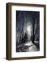 Winter Landscape-kovalvs-Framed Photographic Print