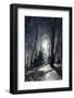 Winter Landscape-kovalvs-Framed Photographic Print