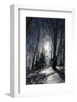 Winter Landscape-kovalvs-Framed Photographic Print