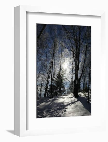 Winter Landscape-kovalvs-Framed Photographic Print