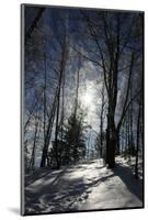 Winter Landscape-kovalvs-Mounted Photographic Print