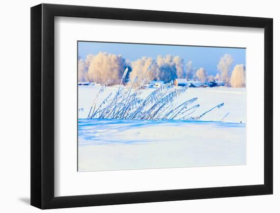 Winter Landscape-vhpfoto-Framed Photographic Print