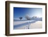 Winter Landscape-mirceab-Framed Photographic Print