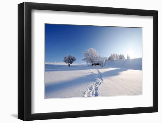 Winter Landscape-mirceab-Framed Photographic Print