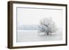 Winter Landscape-geanina bechea-Framed Photographic Print