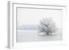 Winter Landscape-geanina bechea-Framed Photographic Print