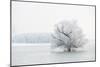 Winter Landscape-geanina bechea-Mounted Photographic Print