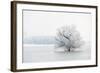 Winter Landscape-geanina bechea-Framed Photographic Print