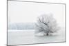 Winter Landscape-geanina bechea-Mounted Photographic Print