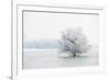 Winter Landscape-geanina bechea-Framed Photographic Print