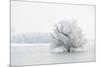 Winter Landscape-geanina bechea-Mounted Photographic Print