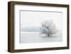 Winter Landscape-geanina bechea-Framed Photographic Print