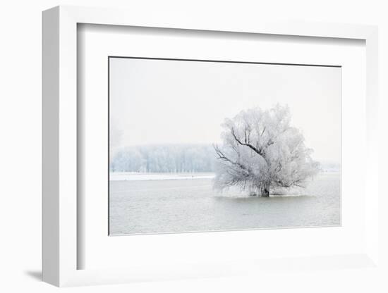 Winter Landscape-geanina bechea-Framed Photographic Print