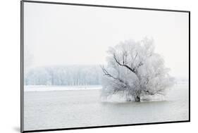Winter Landscape-geanina bechea-Mounted Photographic Print