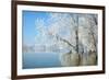 Winter Landscape-geanina bechea-Framed Photographic Print