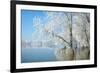 Winter Landscape-geanina bechea-Framed Photographic Print