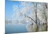 Winter Landscape-geanina bechea-Mounted Photographic Print