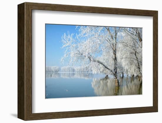 Winter Landscape-geanina bechea-Framed Photographic Print